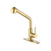 Utility Sink Faucets Single-Handle Pull-Out Laundry Faucet with Dual Spray Function in Stainless Spot Resistant Gold