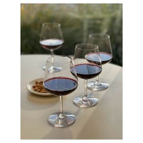 Plastic Wine Glasses Set of 4 (20oz), BPA Free Tritan Lexington Wine Glass Set, Unbreakable Red Wine Glasses, White Wine Glasses