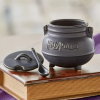 Harry Potter Ceramic Cauldron Mug w/spoon