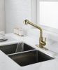 Utility Sink Faucets Single-Handle Pull-Out Laundry Faucet with Dual Spray Function in Stainless Spot Resistant Gold