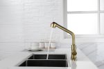 Utility Sink Faucets Single-Handle Pull-Out Laundry Faucet with Dual Spray Function in Stainless Spot Resistant Gold