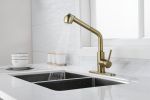 Utility Sink Faucets Single-Handle Pull-Out Laundry Faucet with Dual Spray Function in Stainless Spot Resistant Gold