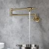 Pot faucet wall-mounted faucet(gold)