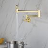 Pot faucet wall-mounted faucet (gold)