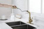 Utility Sink Faucets Single-Handle Pull-Out Laundry Faucet with Dual Spray Function in Stainless Spot Resistant Gold