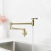 Wall-Mounted Potfiller modern 360-degree rotating kitchen faucet in Brushen Gold